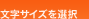 文字サイズを選択